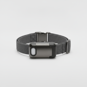 Collier GPS Clôture Virtuelle — Alertes Instantanées